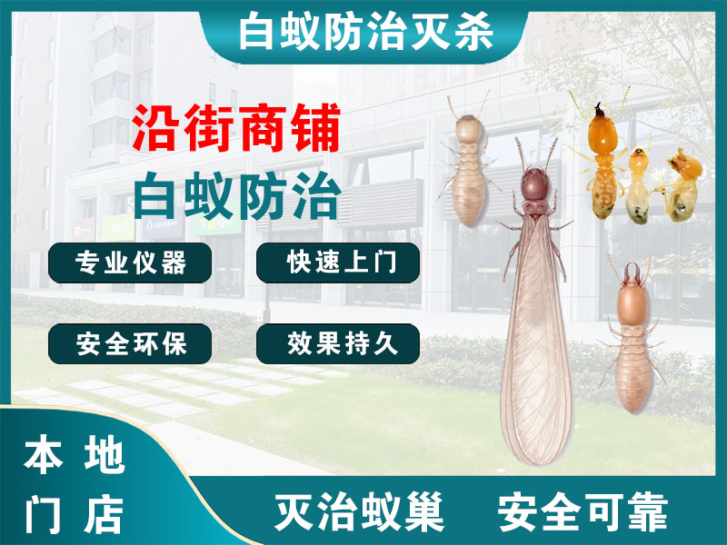 常州市沿街商铺白蚁防治