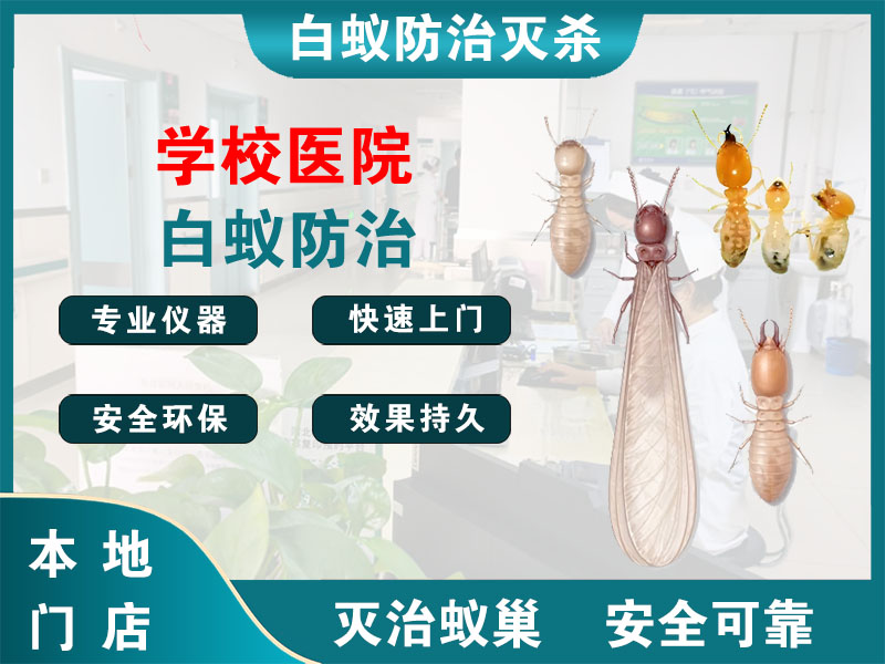 常州市学校医院白蚁防治