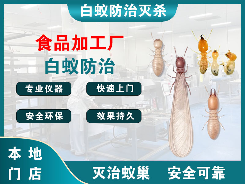 常州市食品加工厂白蚁防治