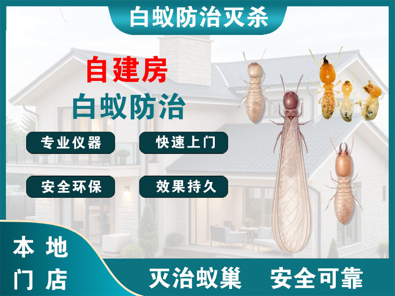 常州市自建房白蚁防治