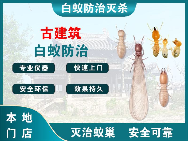 常州市古建筑白蚁防治