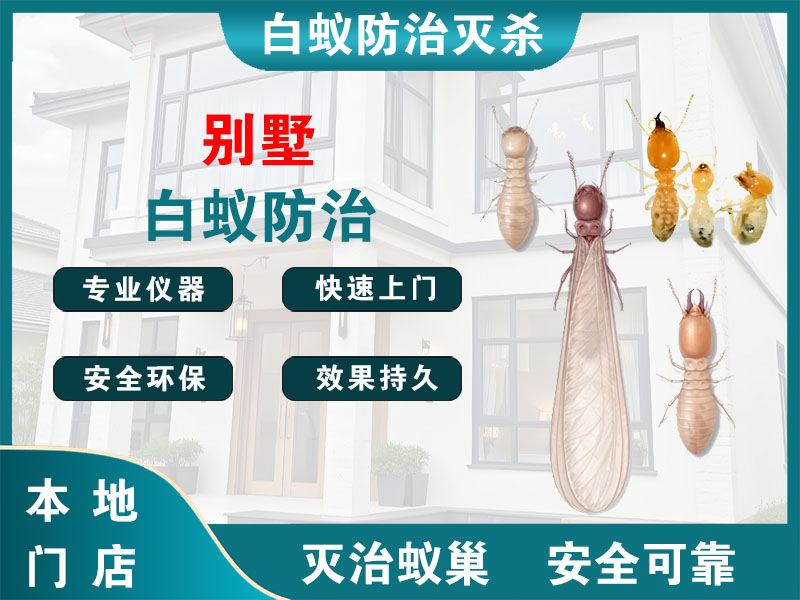 常州市别墅白蚁防治