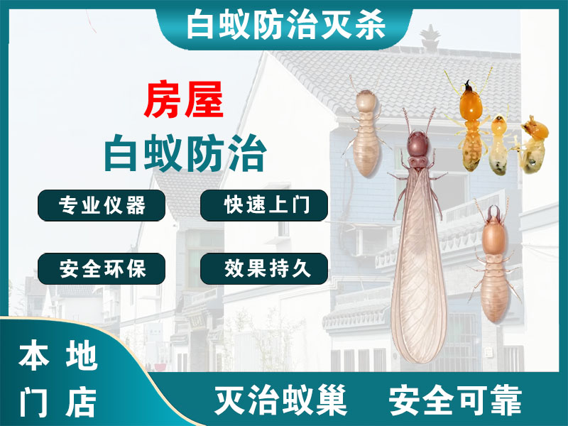 常州市房屋白蚁防治